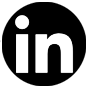 LinkedIN icon